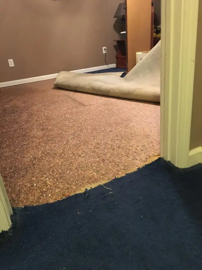 Carpet pad removal revealing water damage during Drying & Dehumidification in Salisbury